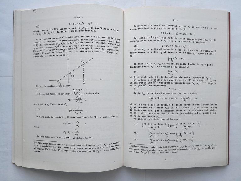 INTRODUZIONE AL CORSO DI ANALISI MATEMATICA di Renato Fiorenza Libro …