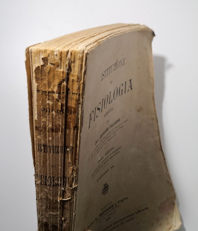 ISTITUZIONE DI FISIOLOGIA Volume II Paladino 1903 Morano Libro Medicina …