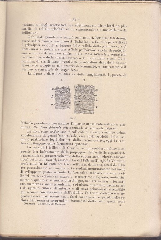 ISTITUZIONE DI FISIOLOGIA Volume II Paladino 1903 Morano Libro Medicina …