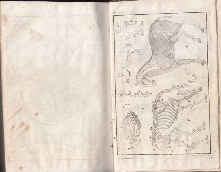 ISTITUZIONI DI MASCALCIA Francesco Bonsi 2 volumi 1824 Libro antico …