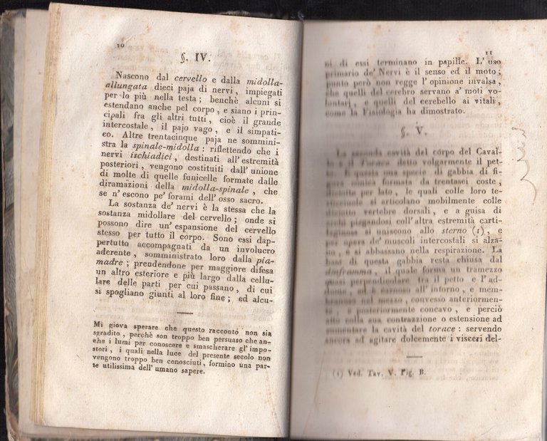 ISTITUZIONI DI MASCALCIA Francesco Bonsi 2 volumi 1824 Libro antico …