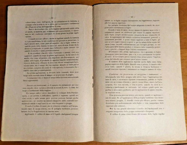 ISTRUZIONI PRATICHE PER COMBATTERE LA PERONOSPORA DELLA VITE 1887 libro …