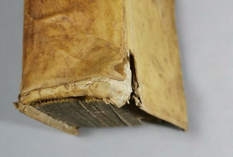JULII CAESARIS QUAE EXTANT cum notitia Galliae di Giuseppe Scaligero …