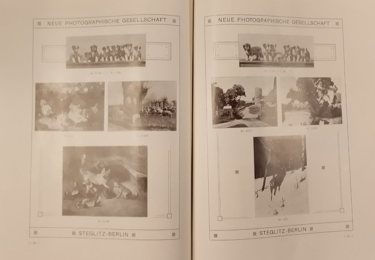 KUNST KATALOG DER NEUE PHOTOGRAPHISCHEN GESELLSCHAFT Steglitz Berlin Libro