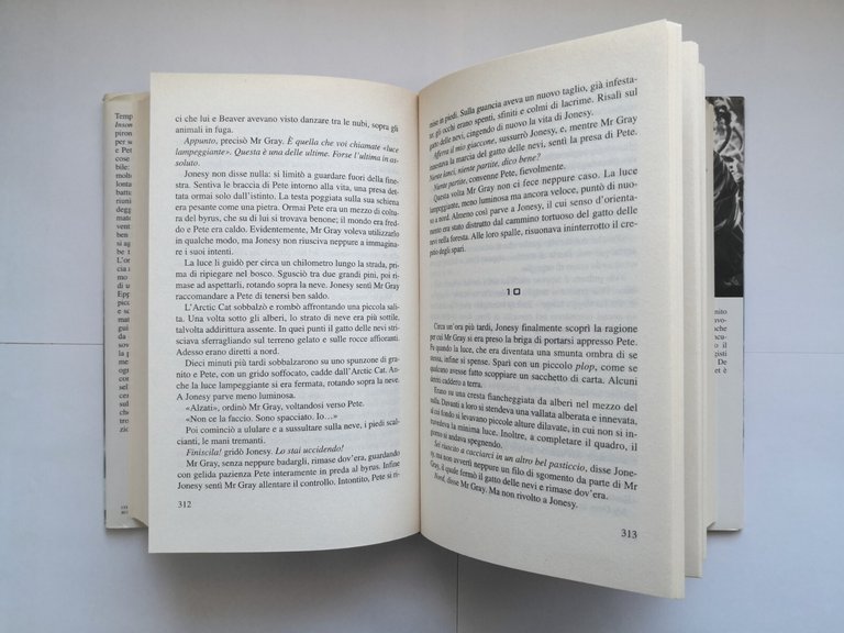 L'ACCHIAPPASOGNI romanzo di Stephen King 2001 Sperling and Kupfer Libro …