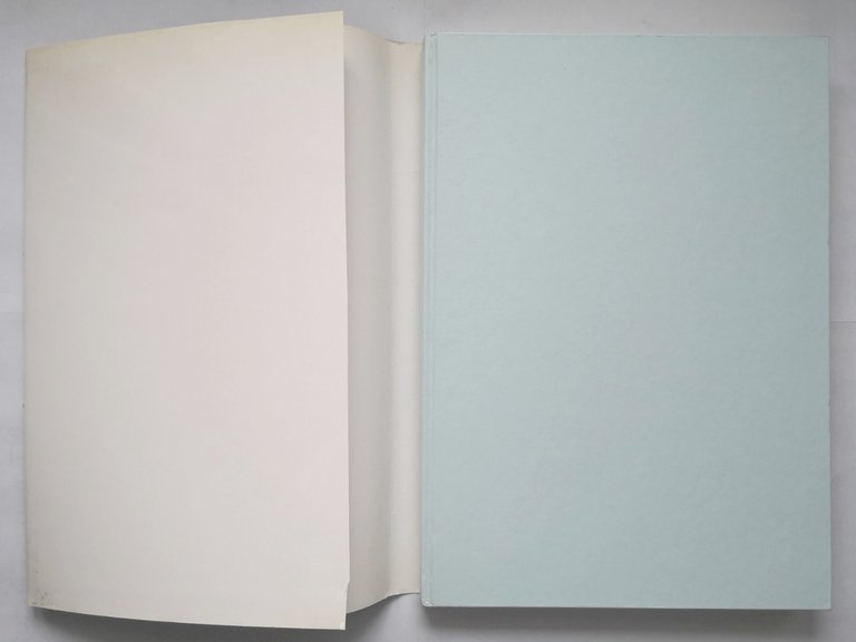 L'ACQUA FERRARA IERI OGGI DOMANI 1990 libro consorzio intercomunale