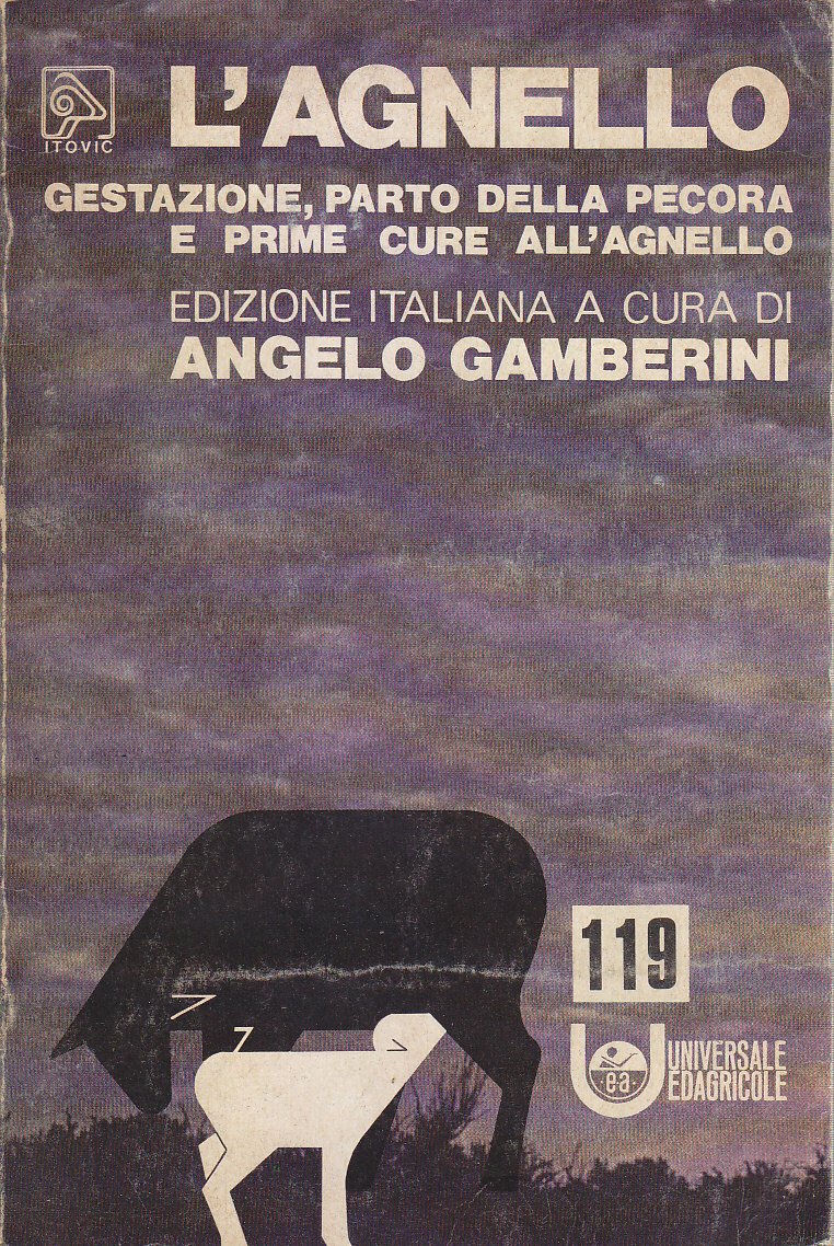 L'AGNELLO gestazione parto della pecora e prime cure di Angelo …