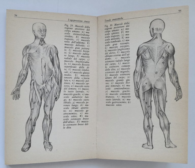 L'AGOPRESSIONE CINESE di Fiorino Cangelli 1978 Sansoni Libro medicina tradizione
