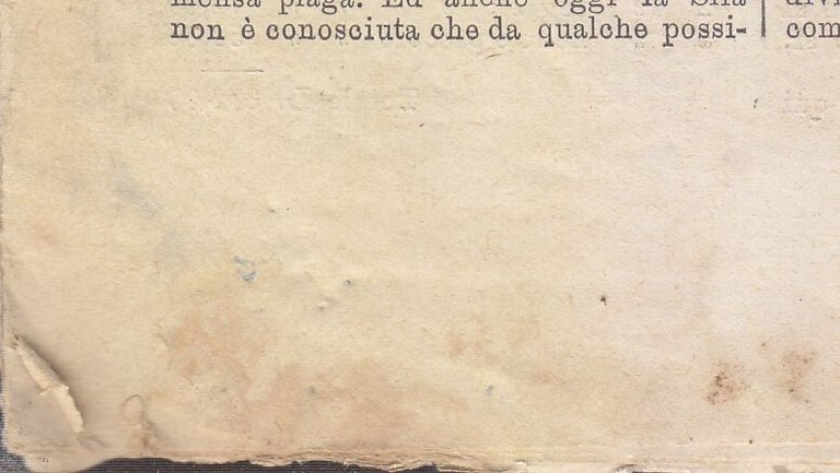 L'AGRICOLTURA MERIDIONALE 15 numeri 1890 periodico agricoltura pratica Portici | Immagine Gallery 3