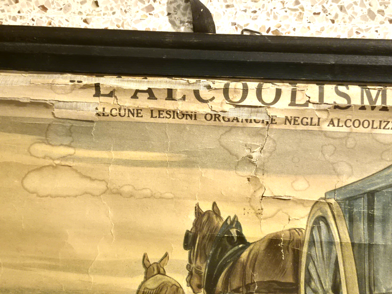 L'ALCOOLISMO lesioni organiche POSTER DIDATTICO Vintage Tavola Mondadori anni 30