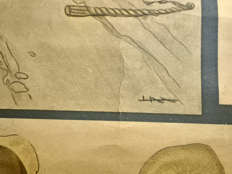 L'ALCOOLISMO lesioni organiche POSTER DIDATTICO Vintage Tavola Mondadori anni 30