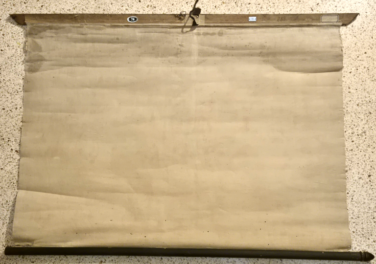 L'ALCOOLISMO lesioni organiche POSTER DIDATTICO Vintage Tavola Mondadori anni 30