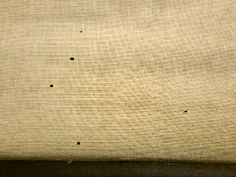 L'ALCOOLISMO lesioni organiche POSTER DIDATTICO Vintage Tavola Mondadori anni 30