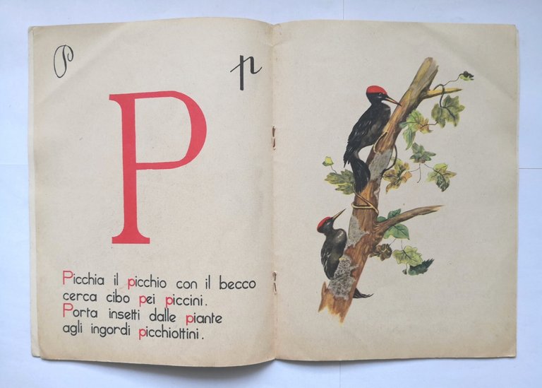 L'ALFABETO DEGLI ANIMALI 3 di Comassi e Monchieri N3 1955 …