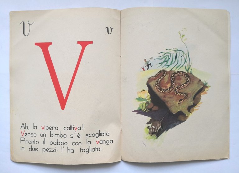 L'ALFABETO DEGLI ANIMALI 3 di Comassi e Monchieri N3 1955 …
