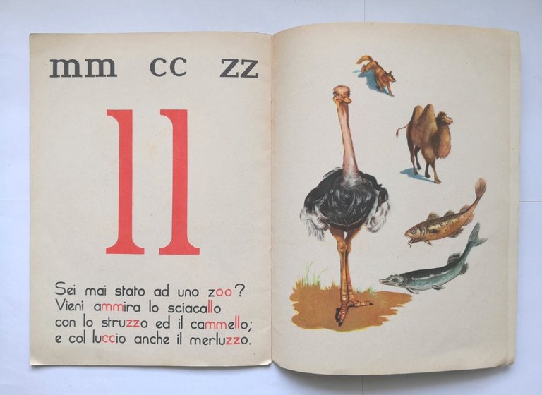 L'ALFABETO DEGLI ANIMALI V di Mario Comassi e Monchieri N5 …