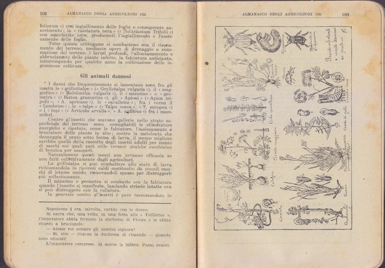 L'ALMANACCO DEGLI AGRICOLTORI 1928 la rivista agricola editrice libro vintage