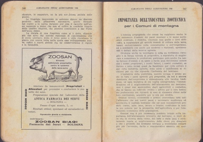 L'ALMANACCO DEGLI AGRICOLTORI 1928 la rivista agricola editrice libro vintage