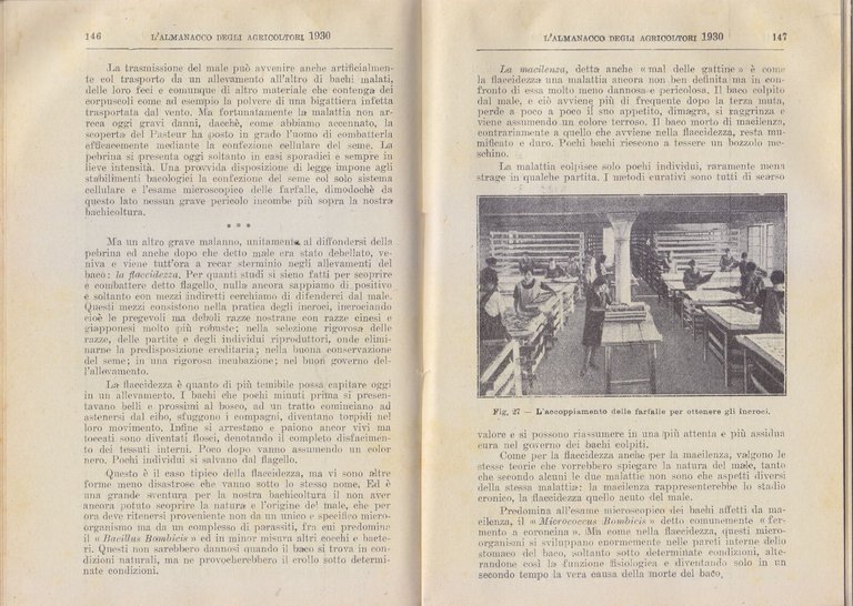 L'ALMANACCO DEGLI AGRICOLTORI 1930 la rivista agricola editrice libro vintage