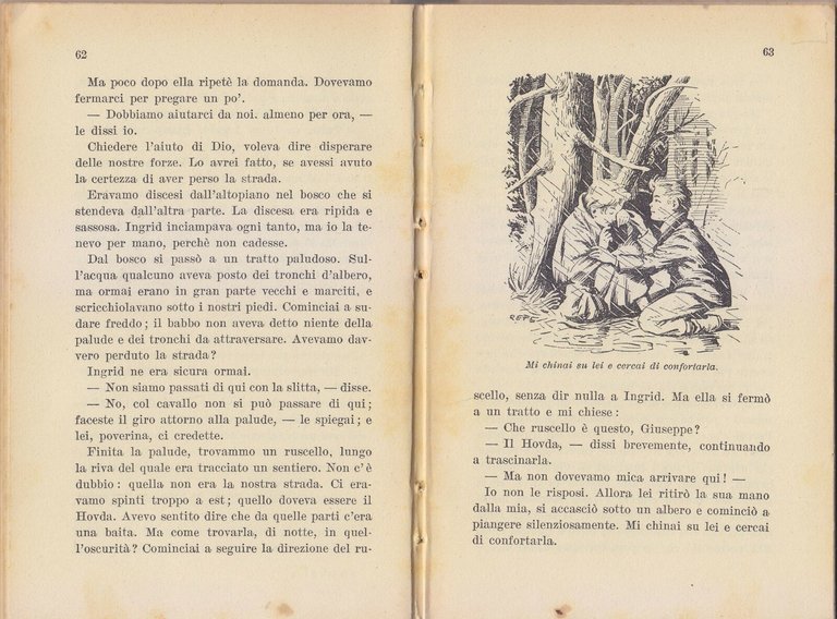 L'AMICO DI INGRID di Floden 1952 Salani Biblioteca delle giovinette …