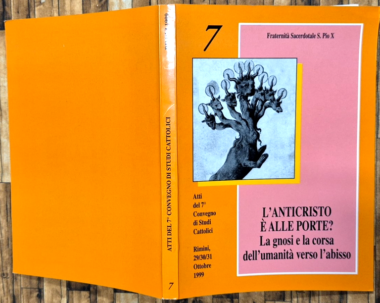L'ANTICRISTO È ALLE PORTE atti convegno studi 1999 Fraternità San … | Immagine Gallery 2