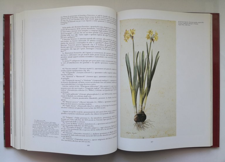 L'ARCHITETTURA CIVILE IN TOSCANA di Amerigo Restucci 1999 Monte Dei …