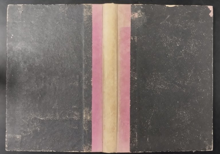 L'ASSEDIO DI FIRENZE F D Guerazzi 1892 Perino Libro antico …