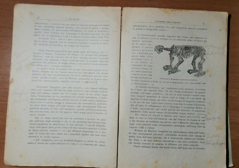 L'AURORA DELL'UMANITA' di Abele De Blasio 1920 Lubrano libro