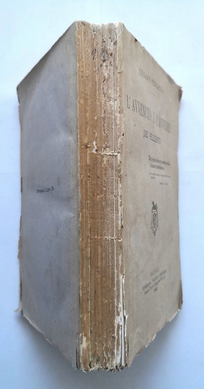 L'AVVENUTO E L'AVVENIRE DEI PEZZENTI di Cesare Perocco 1880 Carluccio …