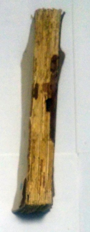 L'EDUCATION SEXUELLE di Jean Marestan 1910 editions de generation consciente