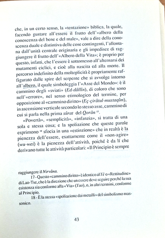 L'ESOTERISMO ISLAMICO E IL TAOISMO la metafisica orientale di Renè …