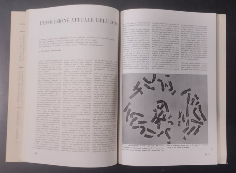 L’EVOLUZIONE E LA SPECIE UMANA 1968 Zanichelli Libro articoli scientific …