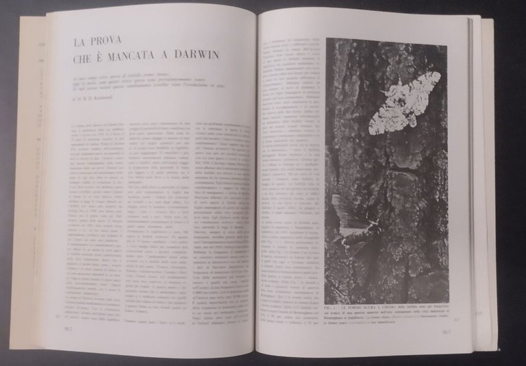 L’EVOLUZIONE E LA SPECIE UMANA 1968 Zanichelli Libro articoli scientific …