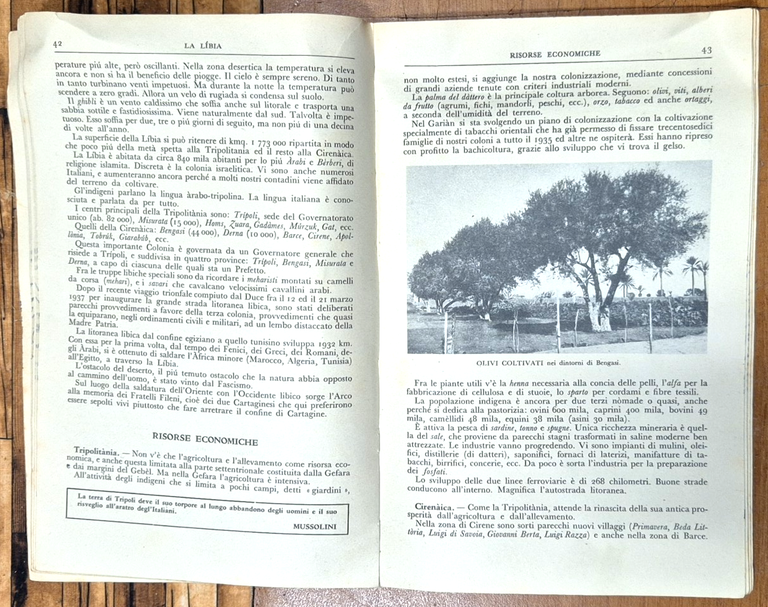 L'IMPERO D'ITALIA 1938 La Libreria dello Stato Libro della V … | Immagine Gallery 5