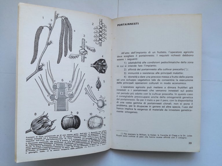 L'IMPIANTO DEL FRUTTETO di Umberto Lunati 1977 Edizioni Agricole libro …