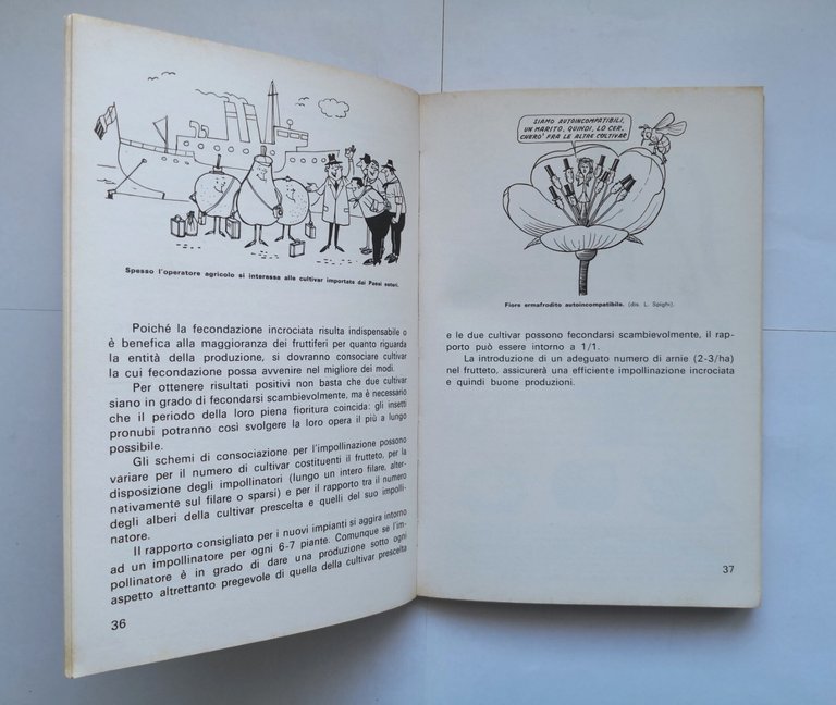 L'IMPIANTO DEL FRUTTETO di Umberto Lunati 1977 Edizioni Agricole libro …