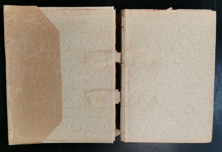 L'INDUSTRIA DEI SAPONI di V Scansetti 1918 Ulrico Hoepli Manuale …