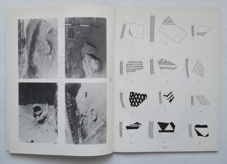 L'INSEDIAMENTO PROTOSTORICO SANTA MARIA DI RIPALTA CERIGNOLA Nava 1981 Libro