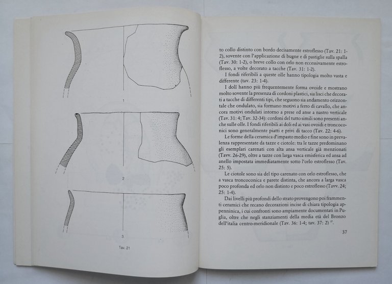 L'INSEDIAMENTO PROTOSTORICO SANTA MARIA DI RIPALTA CERIGNOLA Nava 1981 Libro
