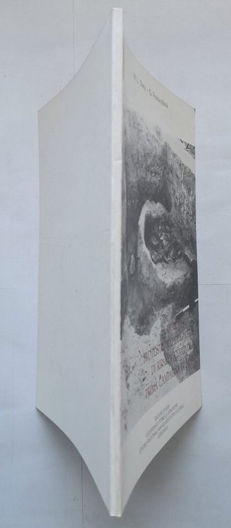 L'INSEDIAMENTO PROTOSTORICO SANTA MARIA DI RIPALTA CERIGNOLA Nava 1981 Libro