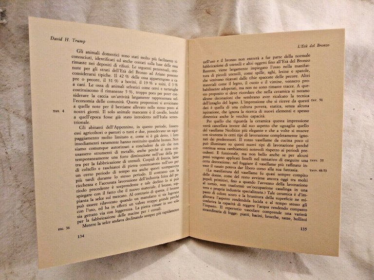 L'italia Centro Meridionale Prima Dei Romani di David H Trump …