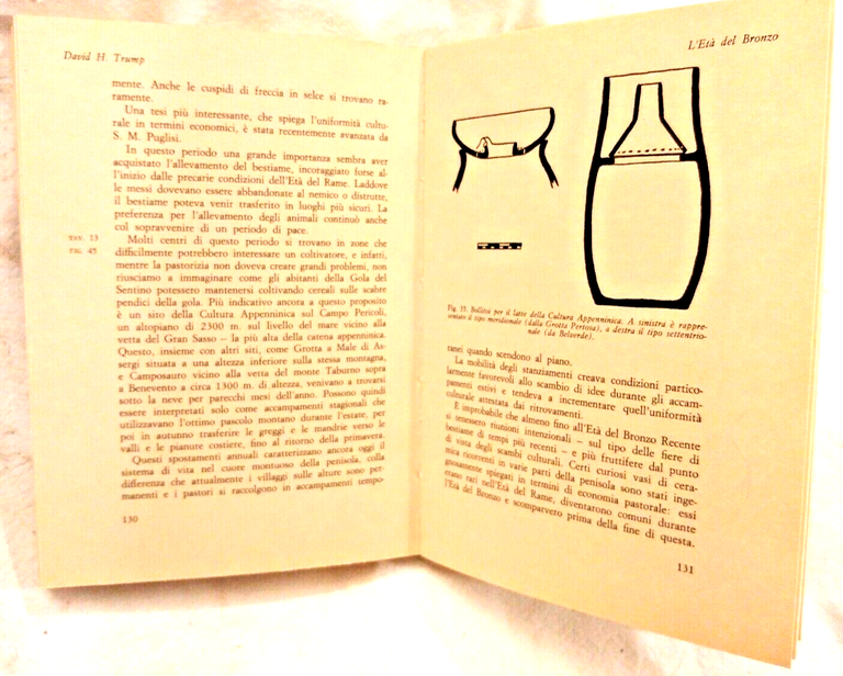 L'ITALIA CENTRO MERIDIONALE PRIMA DEI ROMANI di David Trump 1978 …