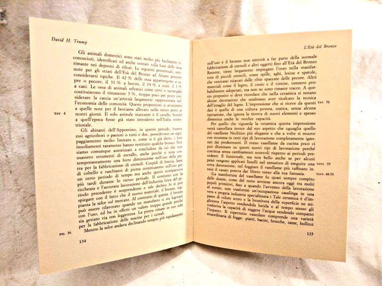 L'ITALIA CENTRO MERIDIONALE PRIMA DEI ROMANI di David Trump 1978 …