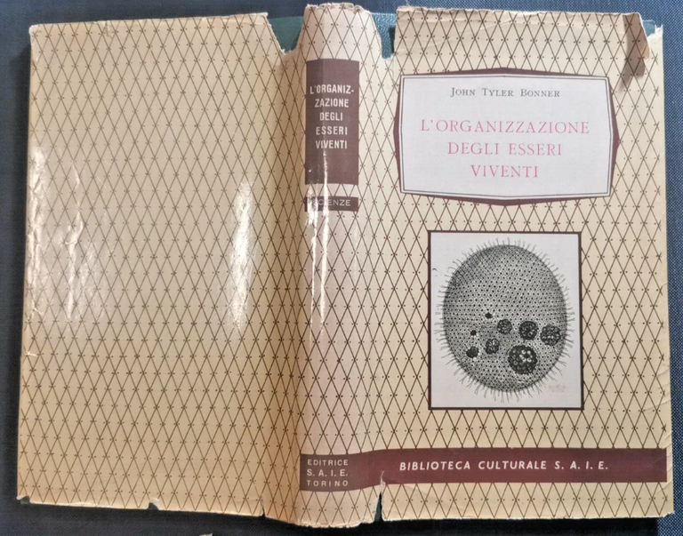 L'ORGANIZZAZIONE DEGLI ESSERI VIVENTI di John Tyler Bonner 1959 libro …