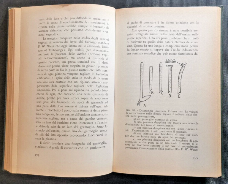 L'ORGANIZZAZIONE DEGLI ESSERI VIVENTI di John Tyler Bonner 1959 libro …