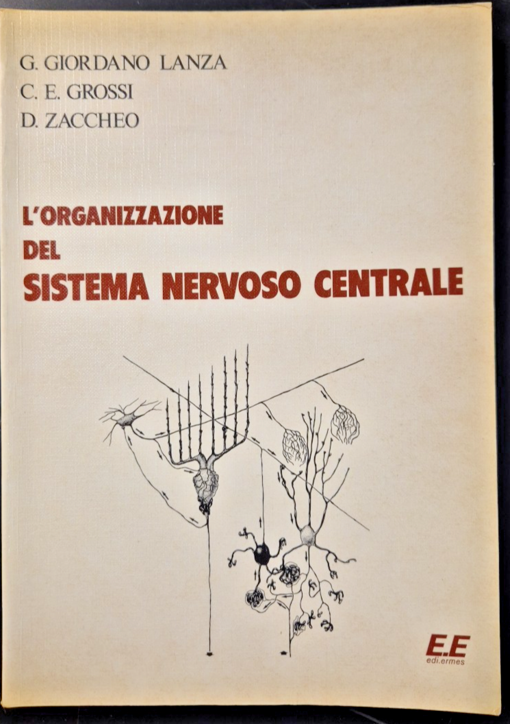 L'ORGANIZZAZIONE DEL SISTEMA NERVOSO di Giordano Lanza Grossi Zaccheo Libro …