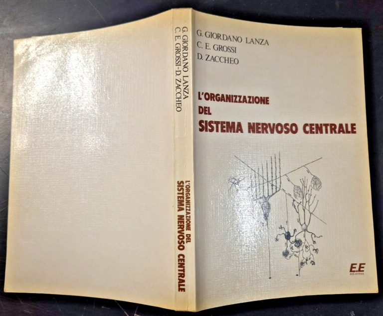L'ORGANIZZAZIONE DEL SISTEMA NERVOSO di Giordano Lanza Grossi Zaccheo Libro …