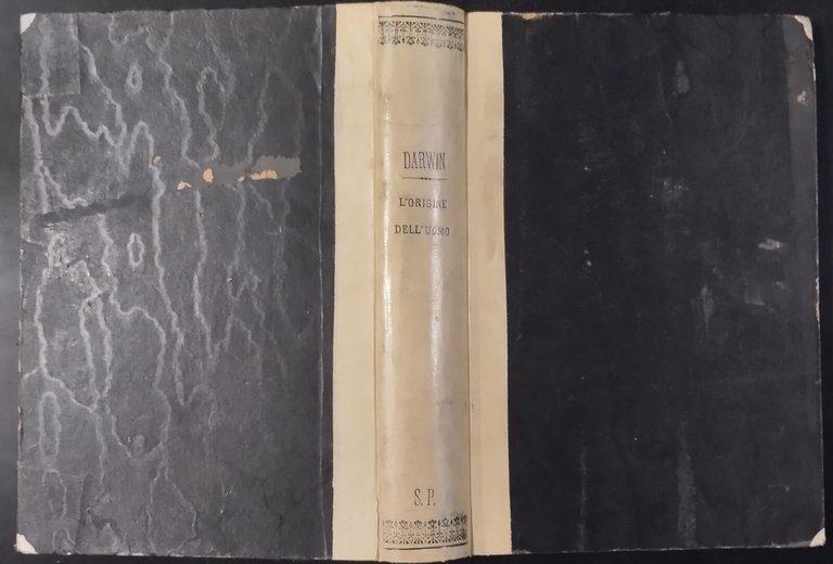 L'ORIGINE DELL'UOMO E LA SCELTA IN RAPPORTO COL SESSO di …