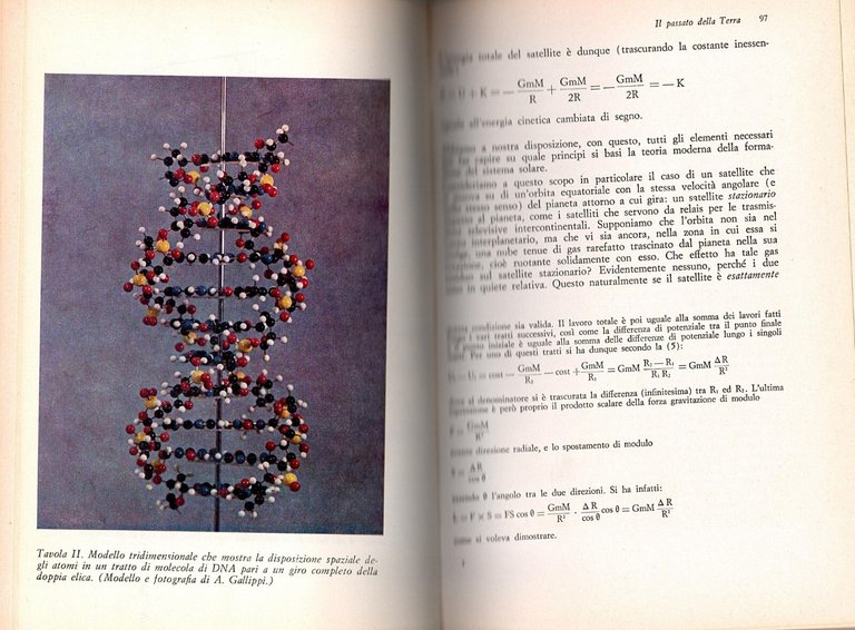 L'ORIGINE DELLA VITA SULLA TERRA di Mario Ageno 1976 Zanichelli …
