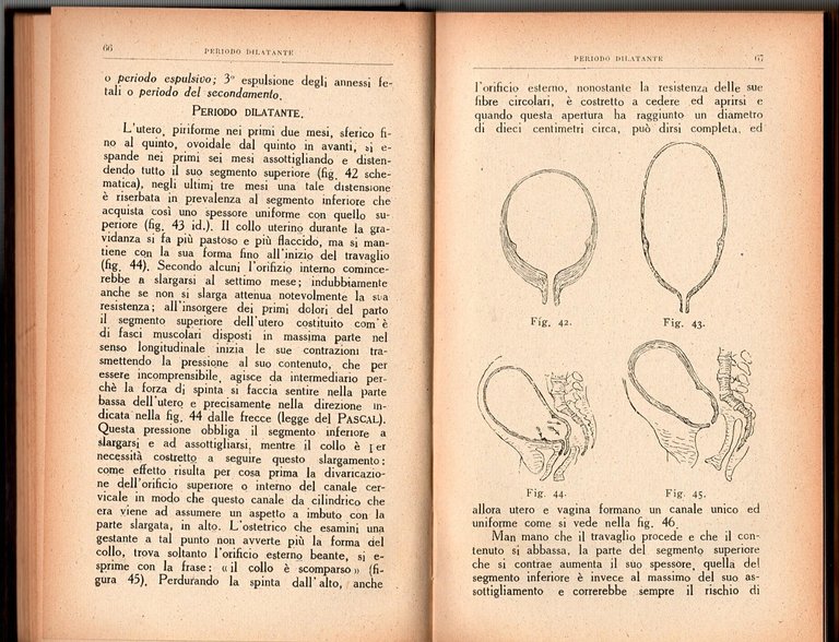 L'OSTETRICO PRATICO TRATTATO DI OSTETRICIA IMPRONTATO Cassio Cassioli 1938 Libro